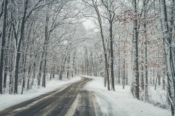 istock Winter road through snowy forest 872539102