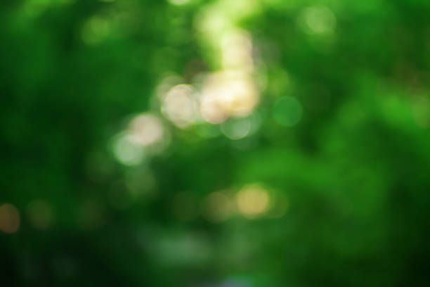istock Blurred background photo.airy defocused photos. 872546012