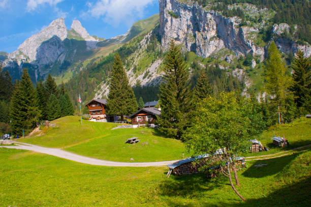 istock Lake tanay,vaud,swiss 872546038