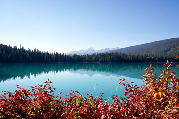 Emerald Lake stock photo
