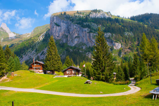 istock Lake tanay,vaud,swiss 872546698
