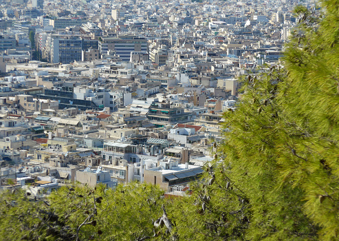 Image of Athens, Greece framed by tree