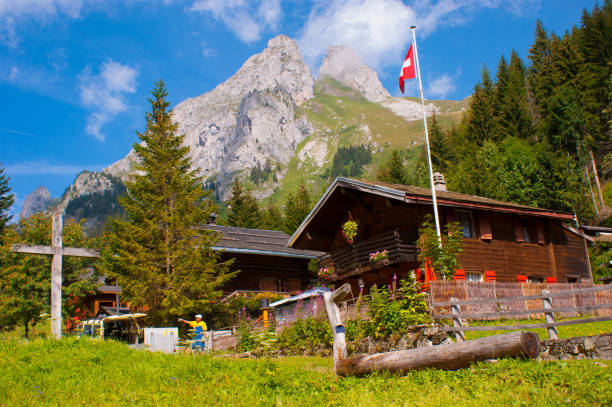 istock Lake tanay,vaud,swiss 872550114