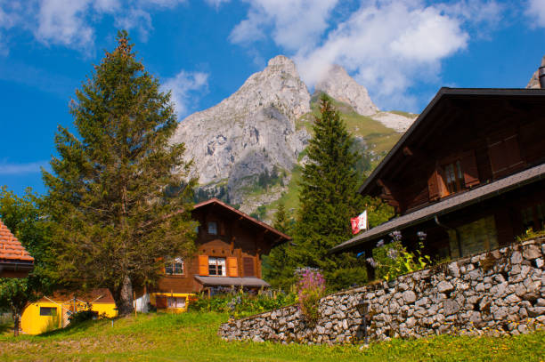 istock Lake tanay,vaud,swiss 872551596