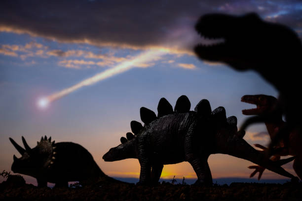 Dinosaurs and Asteroid Dinosaurs and a meteor falling from the sky in back background. extinct photos stock pictures, royalty-free photos & images