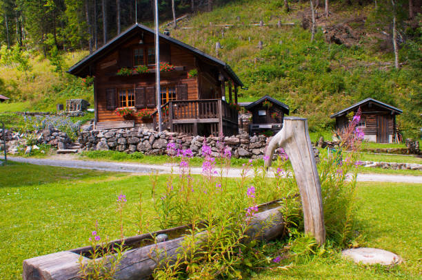 istock Lake tanay,vaud,swiss 872558230