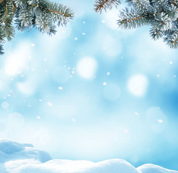 istock Christmas background with fir tree branch.Winter landscape 872569440