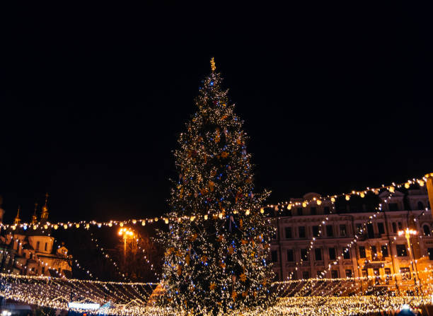 istock Celebrating Christmas and New Year 872576752
