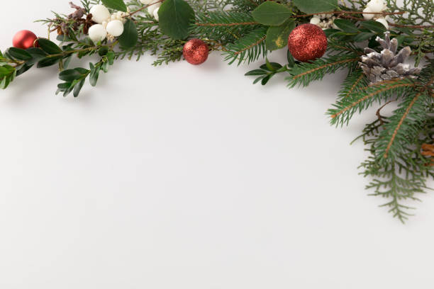 istock christmas fir branch 872579444
