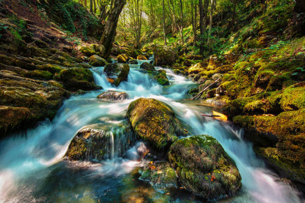 istock River flowing on mossy boulders 872579560