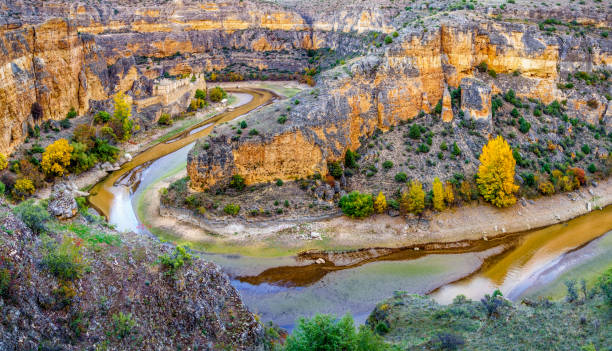 istock Hoces del Rio Duraton National Park - 872582652