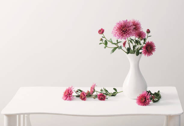 istock still life with chrysanthemums on white background 872586180