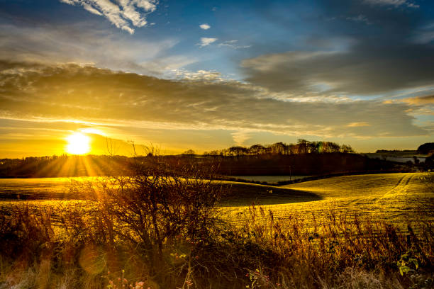 sonnenaufgang über dem ackerland in gatehead kilmarnock east ayrshire schottland im vereinigten königreich mit traktor traks im feld im sommer. - ayrshire stock-fotos und bilder