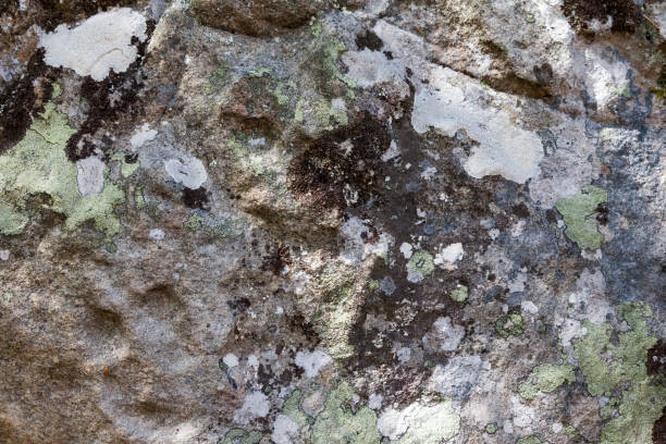 istock A texture of the gray stone 872591002