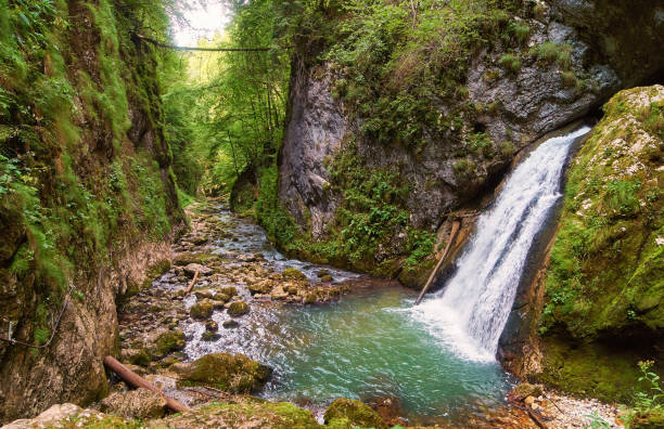 istock River and gorge in Romania 872600698