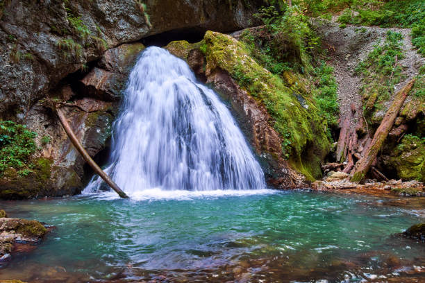 istock Waterfall in Apuseni, Romania 872600714