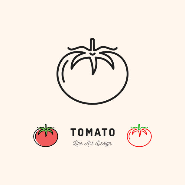 вектор томат значок овощи . тонкая линия искусства дизайн - tomato stock illustrations