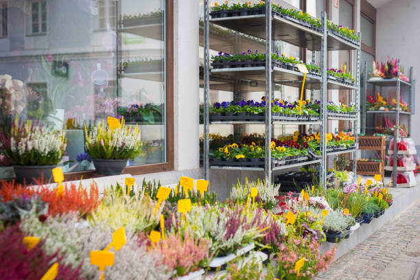 istock Flowers in florist shop 872601924
