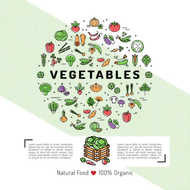 Vector illustration of Vegetables card concept Organic shop Natural product Vegetarian food Veggie