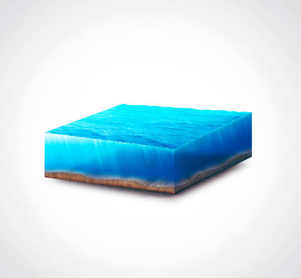 istock 3d isolated illustration section water ocean slice with bottom under water on white background 872608674