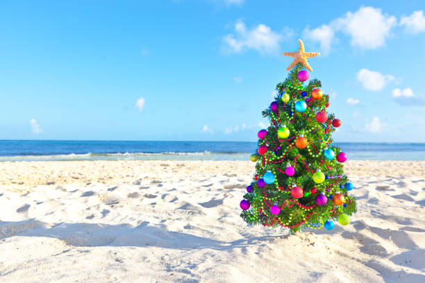 istock Christmas Tree on Tropical Beach of Cancun Mexico 872618926