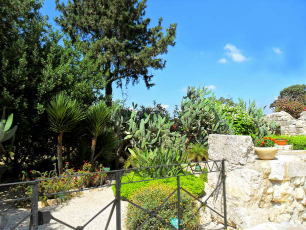 istock Church of the Transfiguration on Mount Tabor in Israel 872638464