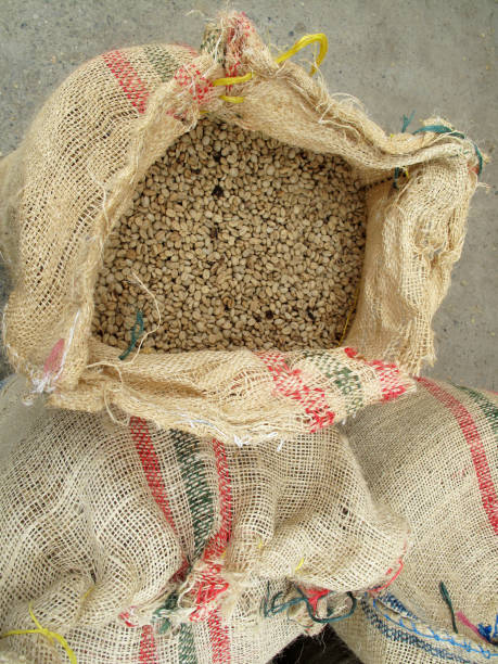 istock Not roasted coffee beans in jute sack top view, Colombia 872642222