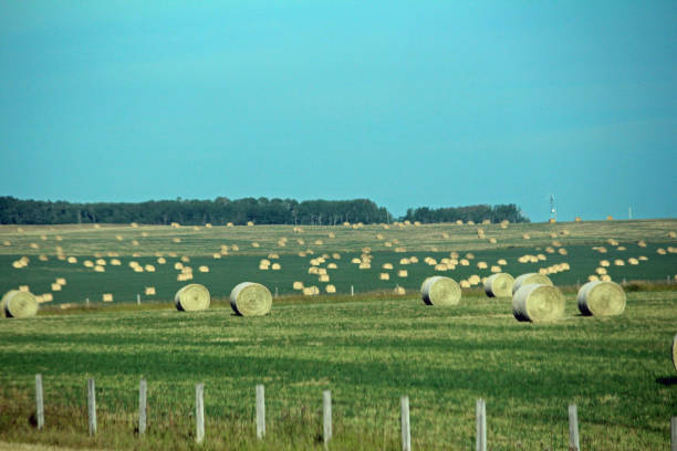 istock Miles of Hay 872642612