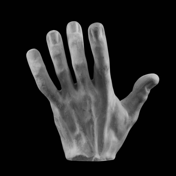 istock plaster limb male hand with fingers, body part 872642796