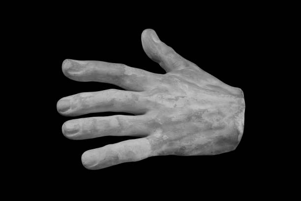 istock plaster limb male hand with fingers, body part 872643072