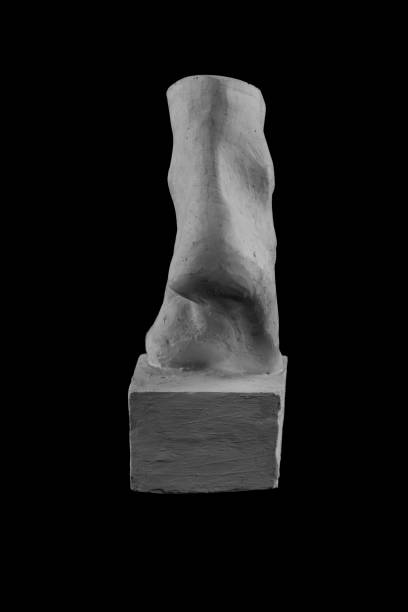 istock plaster limb foot feet with fingers, body part 872645492