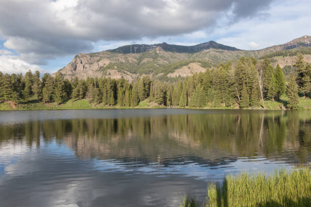 istock Trout Lake at Yellowstone National Park 872652058