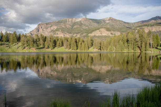istock Trout Lake at Yellowstone National Park 872652060
