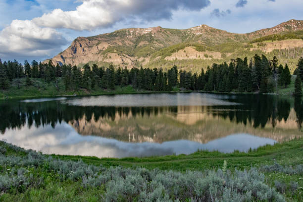 Trout Lake at Yellowstone National Park Landscape photography of Trout Lake at Yellowstone National Park, USA trout lake stock pictures, royalty-free photos & images