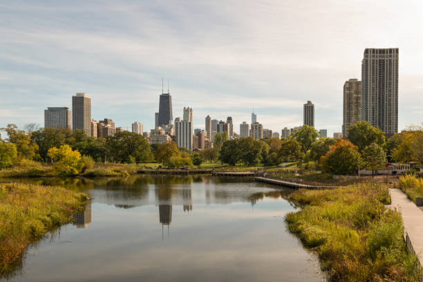 istock Skyline of Chicago downtown 872669788