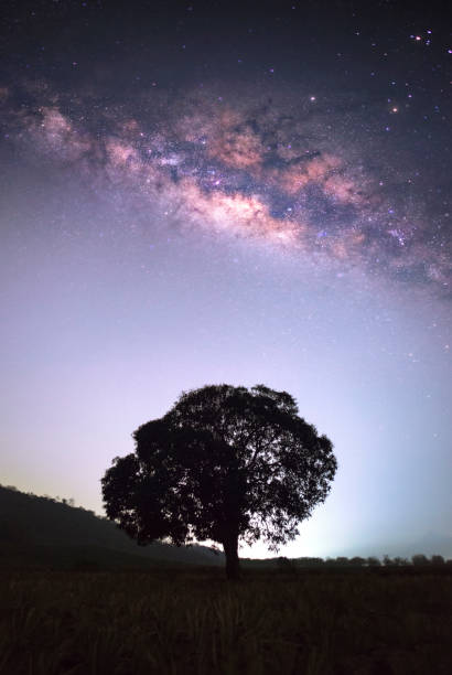 istock Night scene with Milky Way and alone tree, Night landcscape with bright milky way, starry sky. Beautiful universe. Space background 872670144