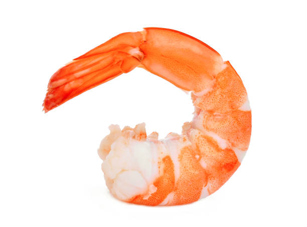 shrimp isolated on white background shrimp isolated on white background Shrimp stock pictures, royalty-free photos & images