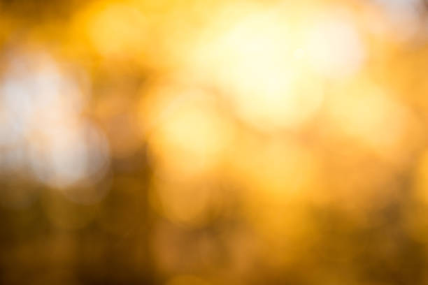 istock Bokeh Background of Fall Colors 872680804