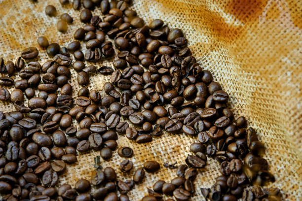 istock Seed of coffee on coffee stain 872683568
