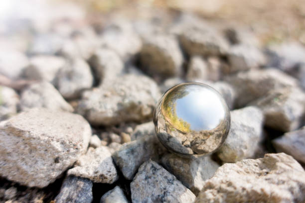 Reflect the world