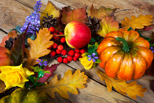 Thanksgiving rustic background with yellow rose, oak leaves, pumpkin, apple, lilac flowers and rowan berries, top view