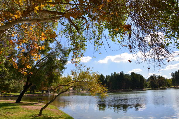 istock Serene lake in autumn. 872703526
