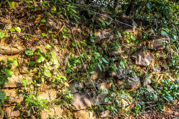 trek to KUDLEE BEACH in the morning