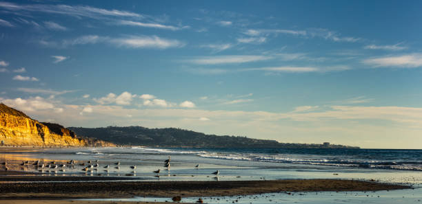Southern California Del mar beach sunset, facing la jolla