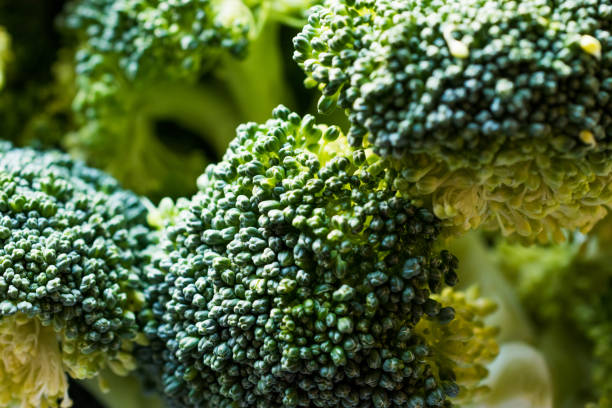 istock Group of Fresh Broccoli. Close Up View 872725026