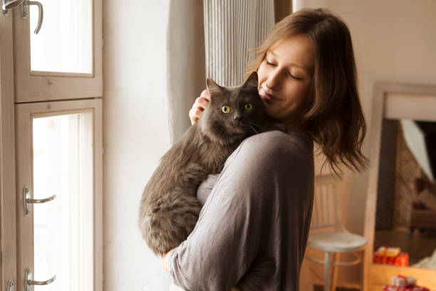 istock Young woman playing with cat in home. 872728652