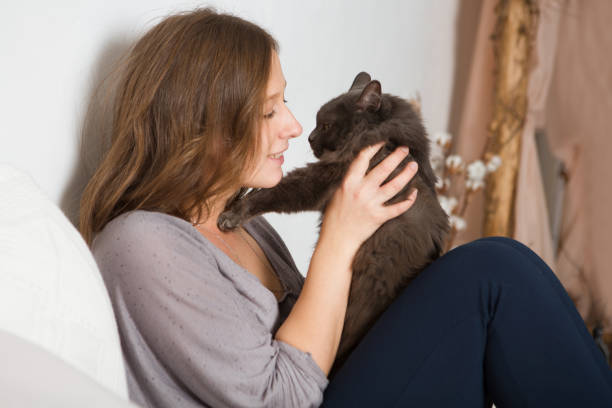 istock Young woman playing with cat in home. 872728886