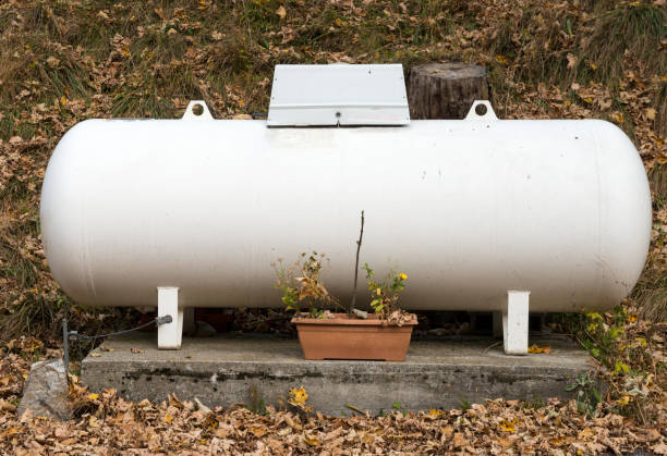 un tanque de gas propano en un jardín. - alternative energy audio fotografías e imágenes de stock