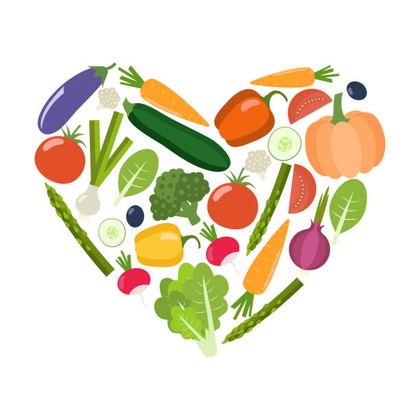 ilustrações de stock, clip art, desenhos animados e ícones de veg heart. organic farm illustration. healthy lifestyle vector design elements. - onion vegetable leaf spice
