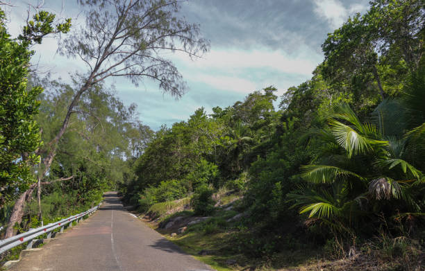 istock Seychelles islands nature. Africa 872745552